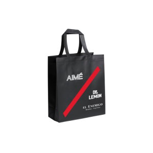 Bolso - Modelo 6