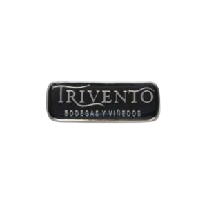 Pin - modelo 1
