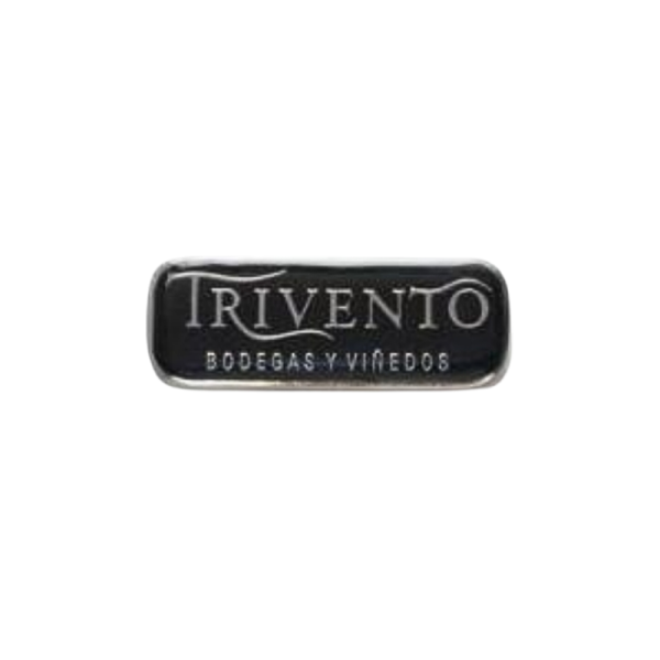 Pin - modelo 1